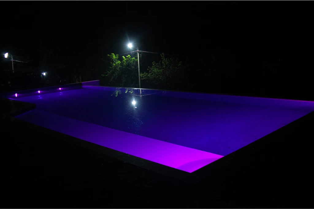 Estrutura Externa Estrutura Externa