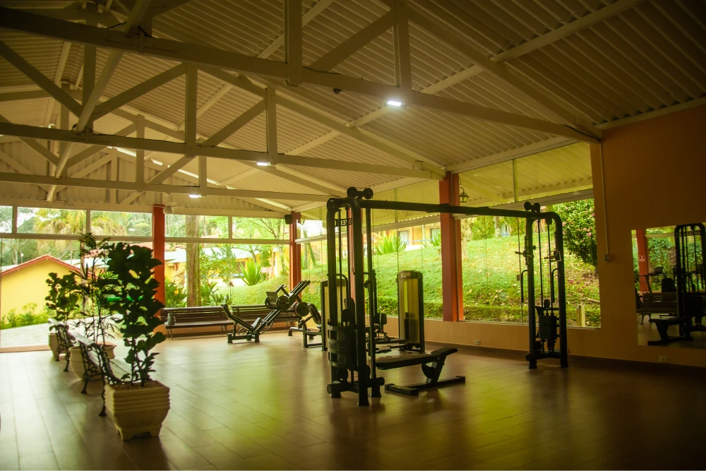 Estrutura Interna Estrutura Interna