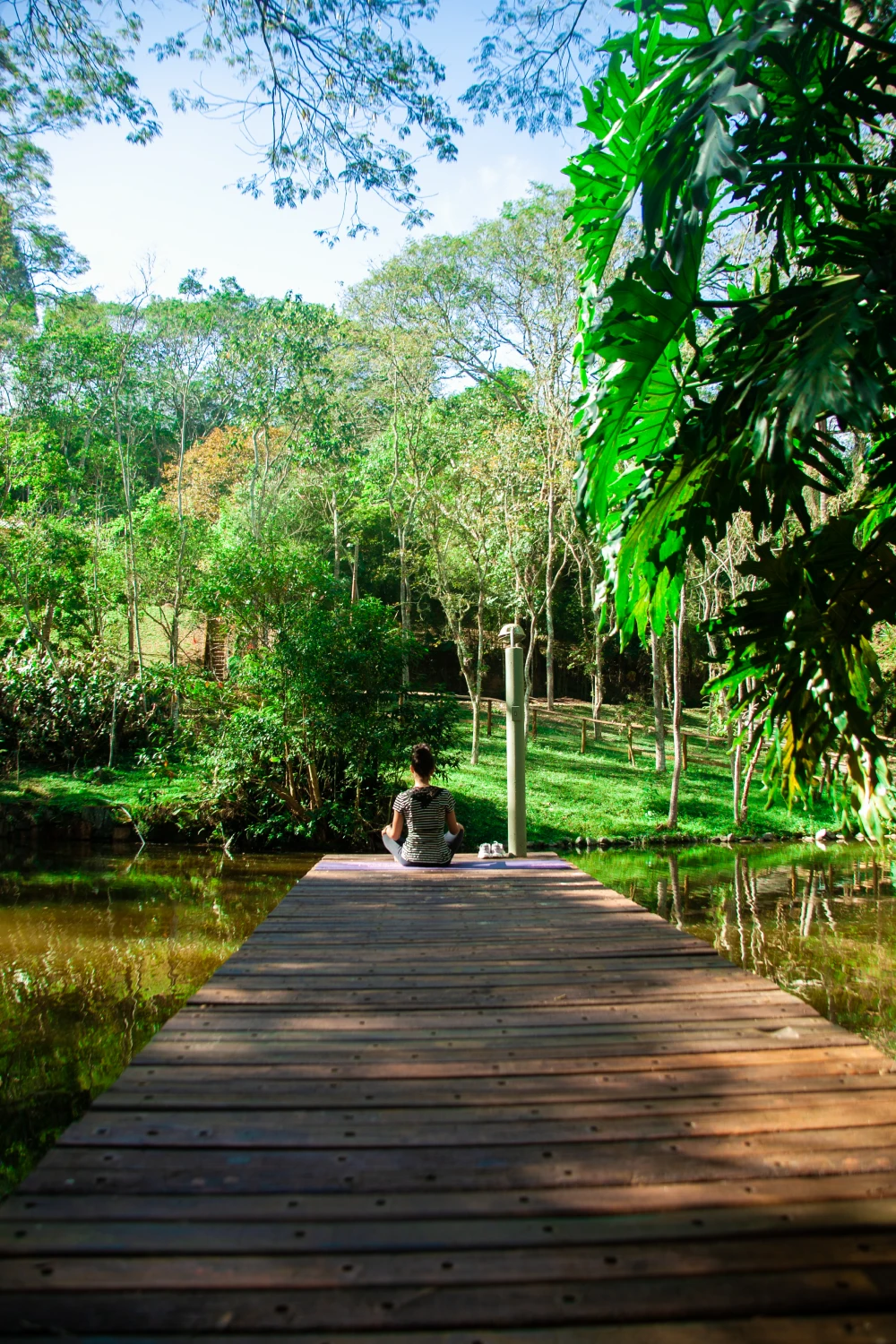 Estrutura Externa Estrutura Externa