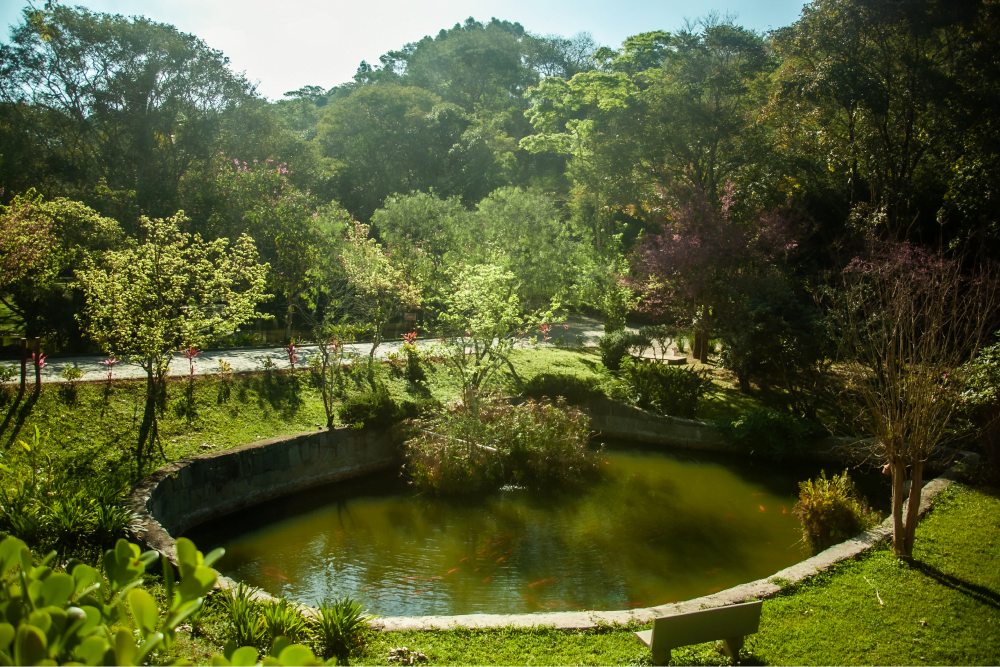 Estrutura Externa Estrutura Externa