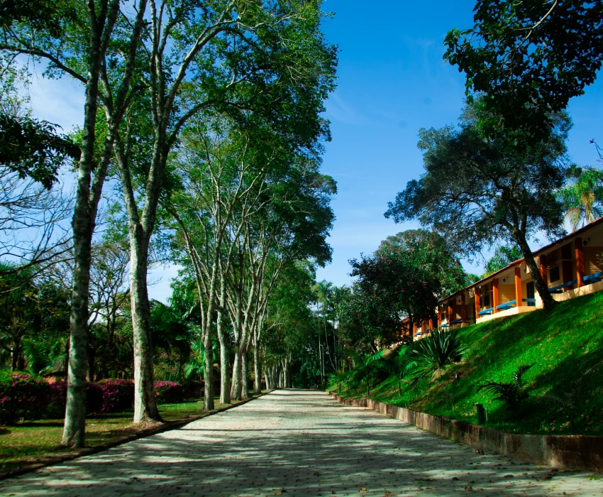 Estrutura Externa Estrutura Externa